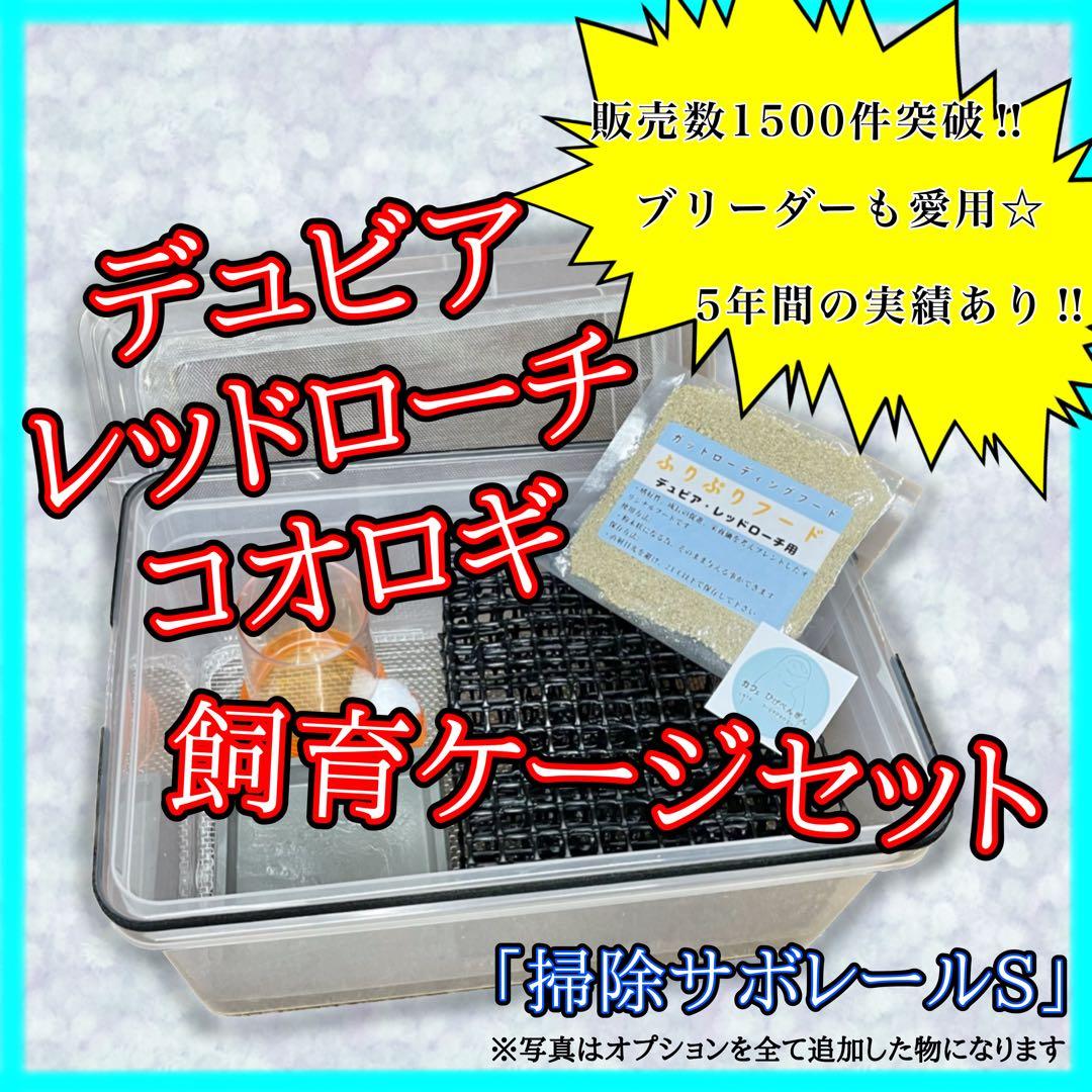 ファラン様　S(フル)(レ)