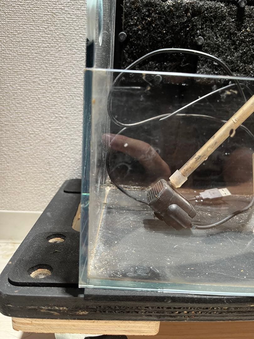 dooa システムテラ　30