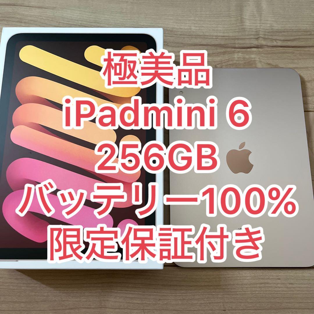 週末限定値下げ 極美品 iPad mini 6世代 256GB 限定保証付き
