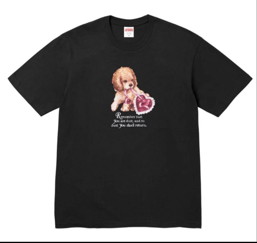 Supreme Dust Tee black ブラック　エル Size : Ｌ