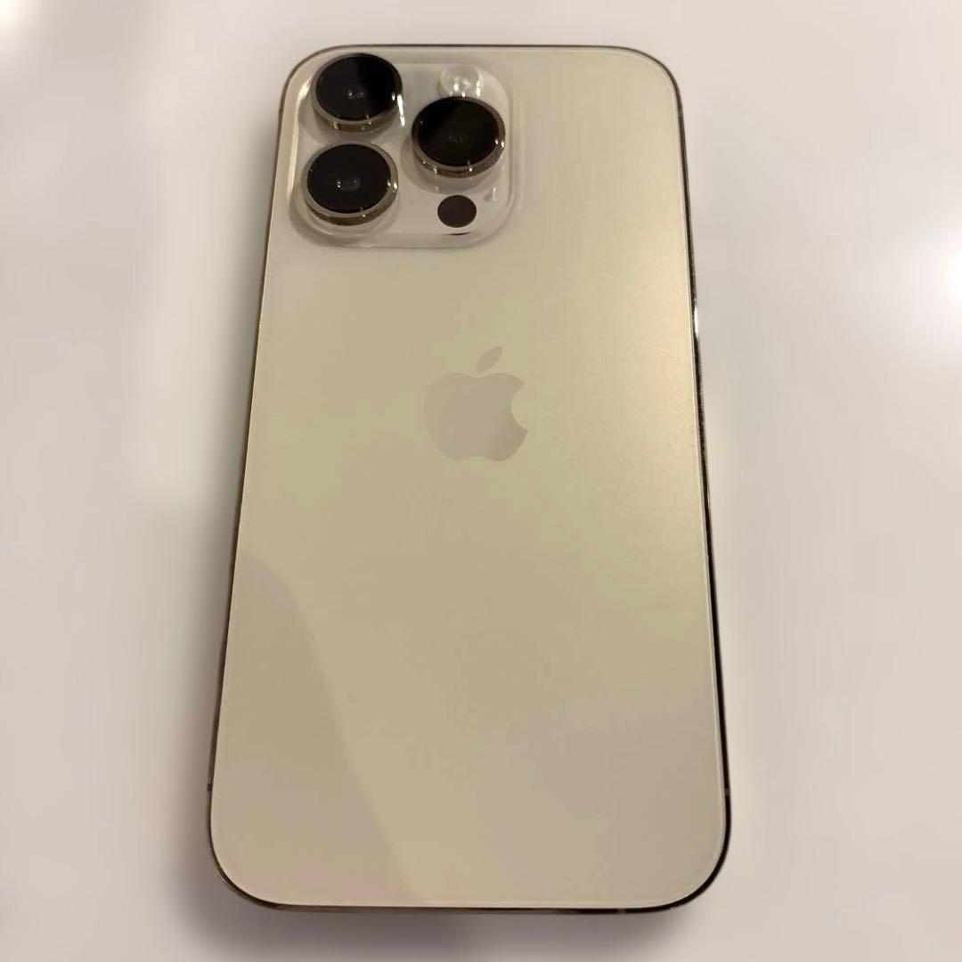 iPhone 14 Pro(使用可能なジャンク品)