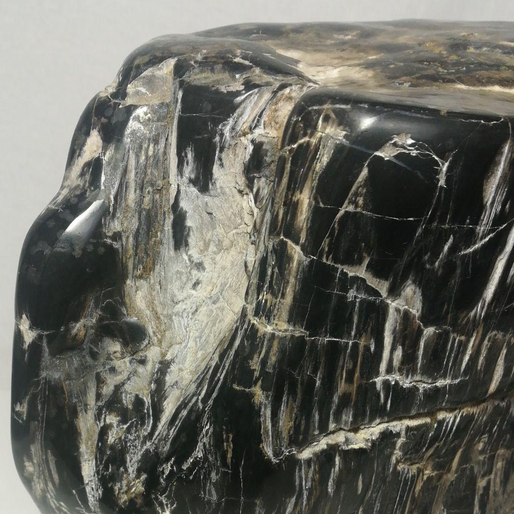 木化石　置物　鑑賞石　台座付