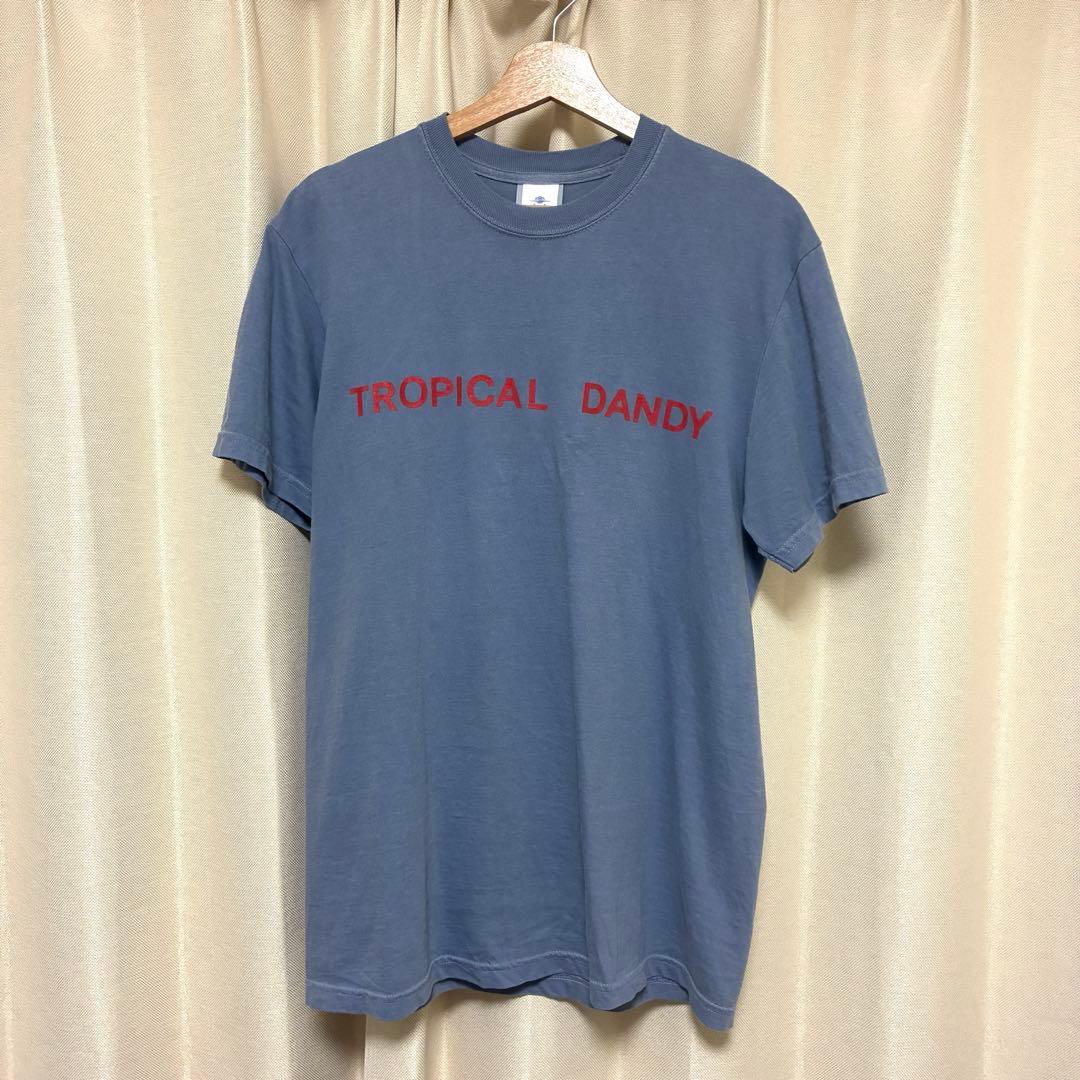 細野晴臣 TROPICAL DANDY Tシャツ