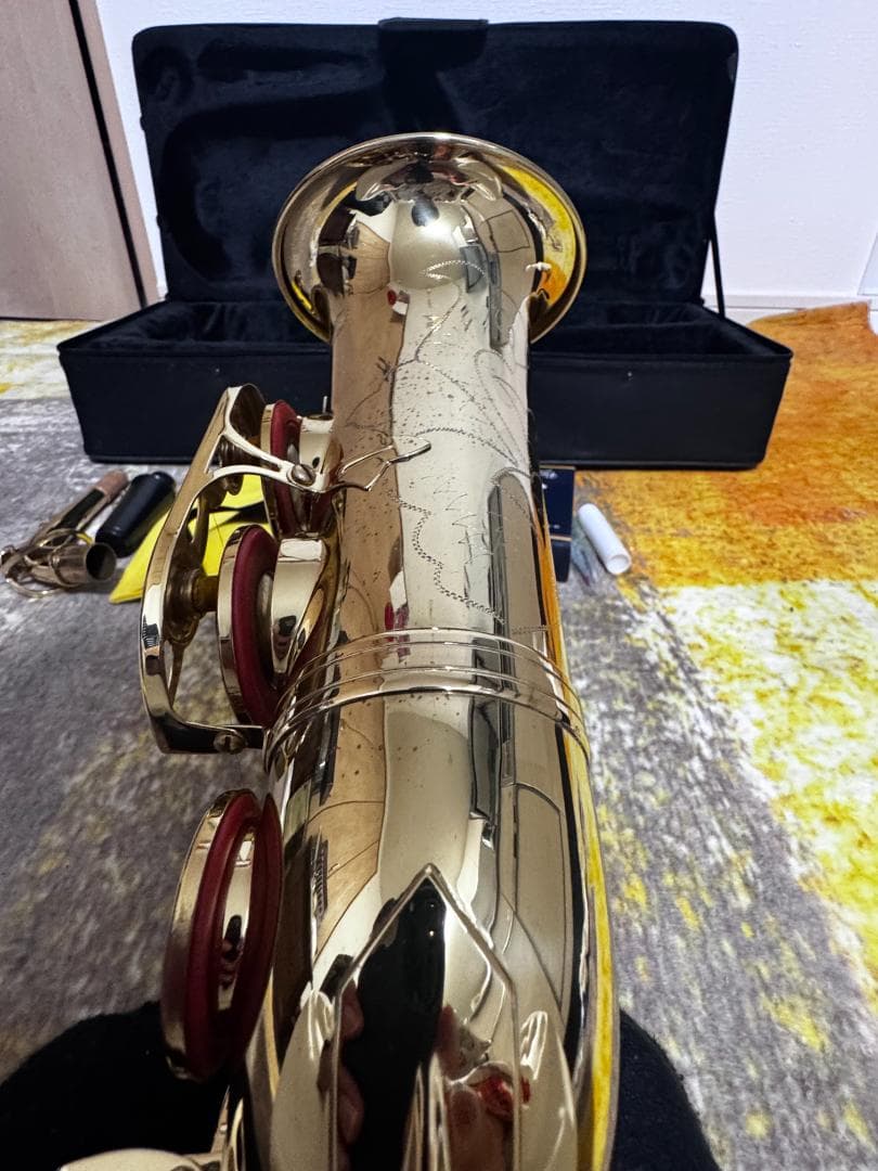 や*す様 Kaerntner アルトサクソフォンセット