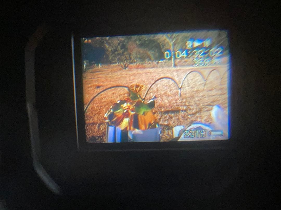 SONY miniDVハンディカム　DCR-TRV9 動作品　ダビング用に