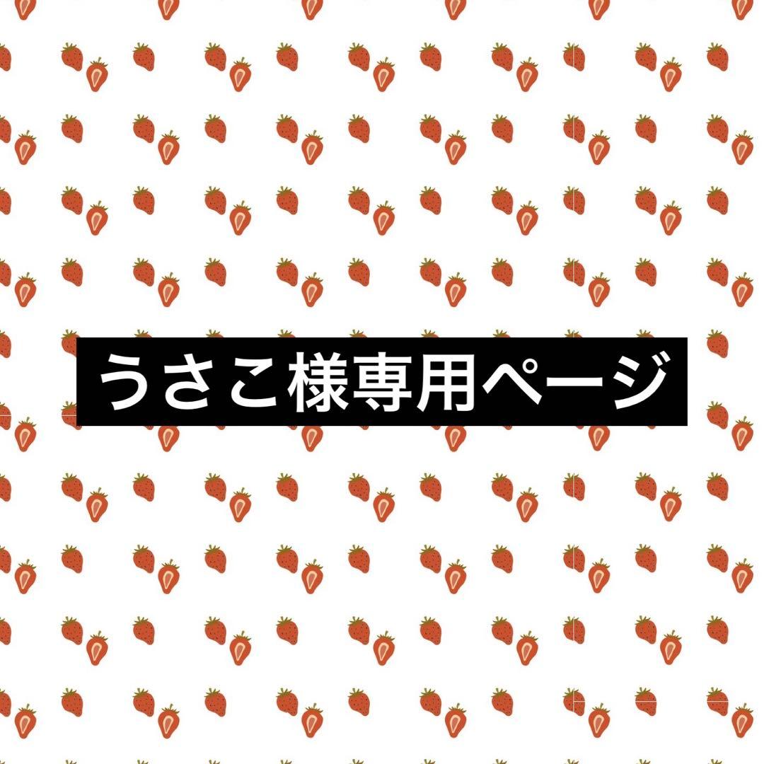 バインダー貯金 レジンバインダー A6 貯金 韓国 予算管理 手帳貯金 貯金