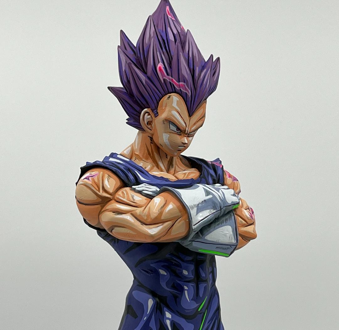 ドラゴンボール超 破壊神ベジータ 我儘の極意 二次元彩色 リペイント フィギュア