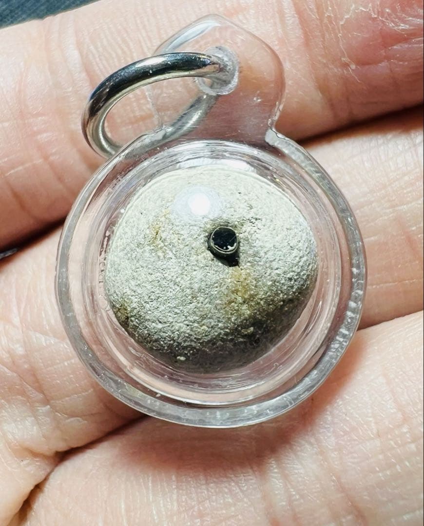 【レア 】象の交尾ボール　強い力愛心魅力 プラクルアン