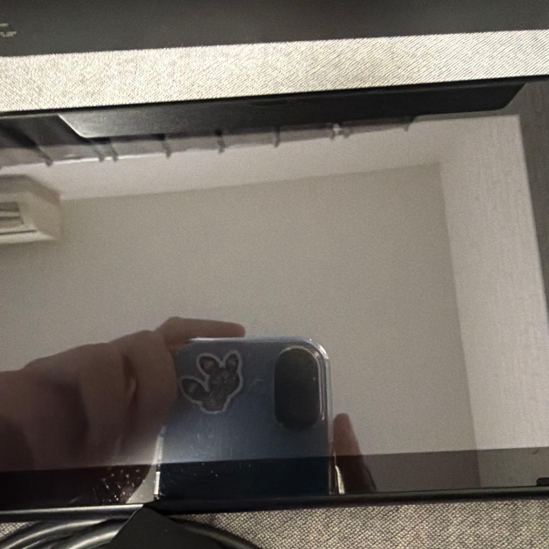 Nintendo Switch 本体 (説明をお読みください)