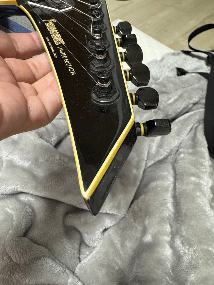 FERNANDES TEJ-75　白文字F.G.I