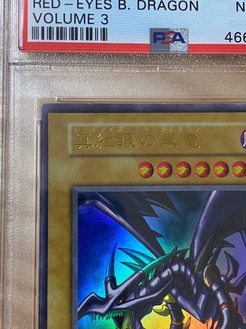 初期　レッドアイズ・ブラックドラゴン　遊戯王