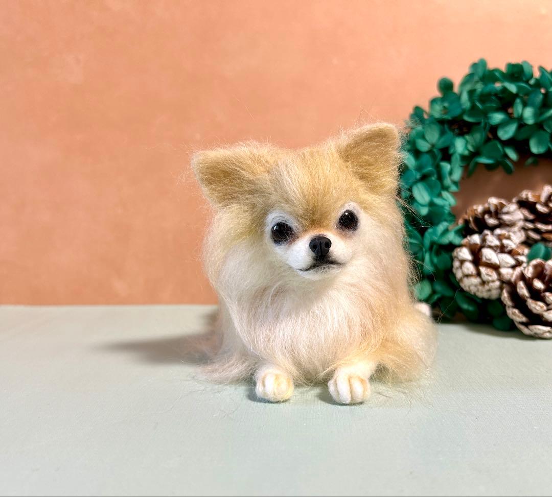羊毛フェルト　おすましチワワちゃん　クリーム