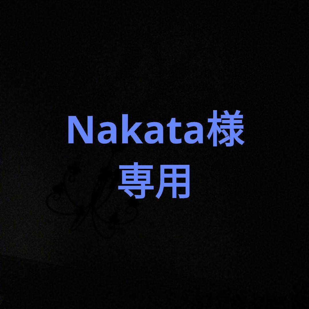 ロボット Nakata