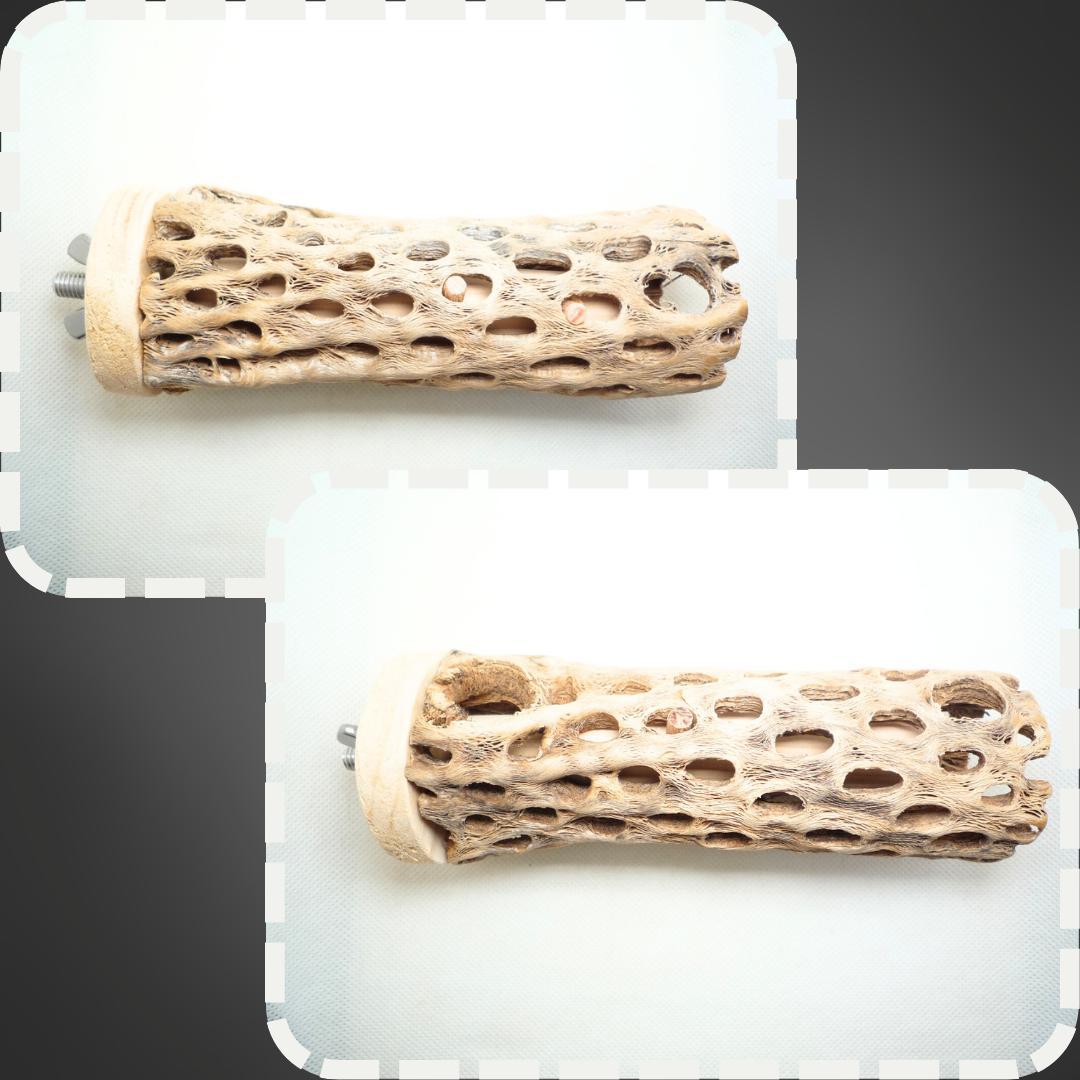 R　止まり木　カクタス　スケルトン　パーチおまとめ5本