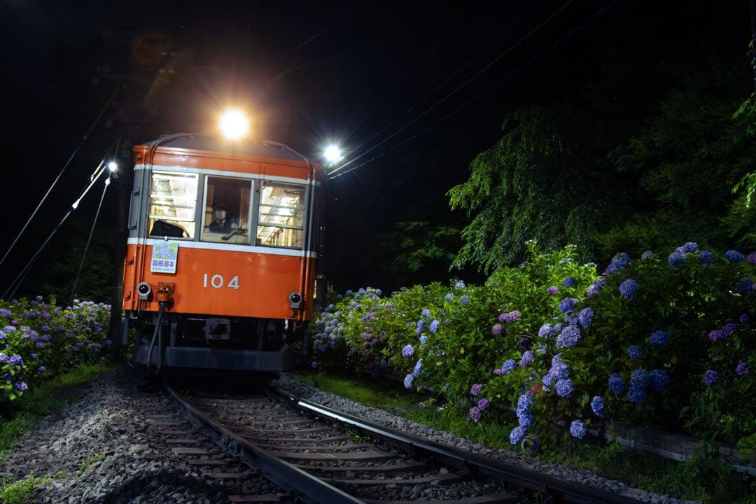 Canon EF 24-105mm f/4 L IS USM 動作確認済・作例有