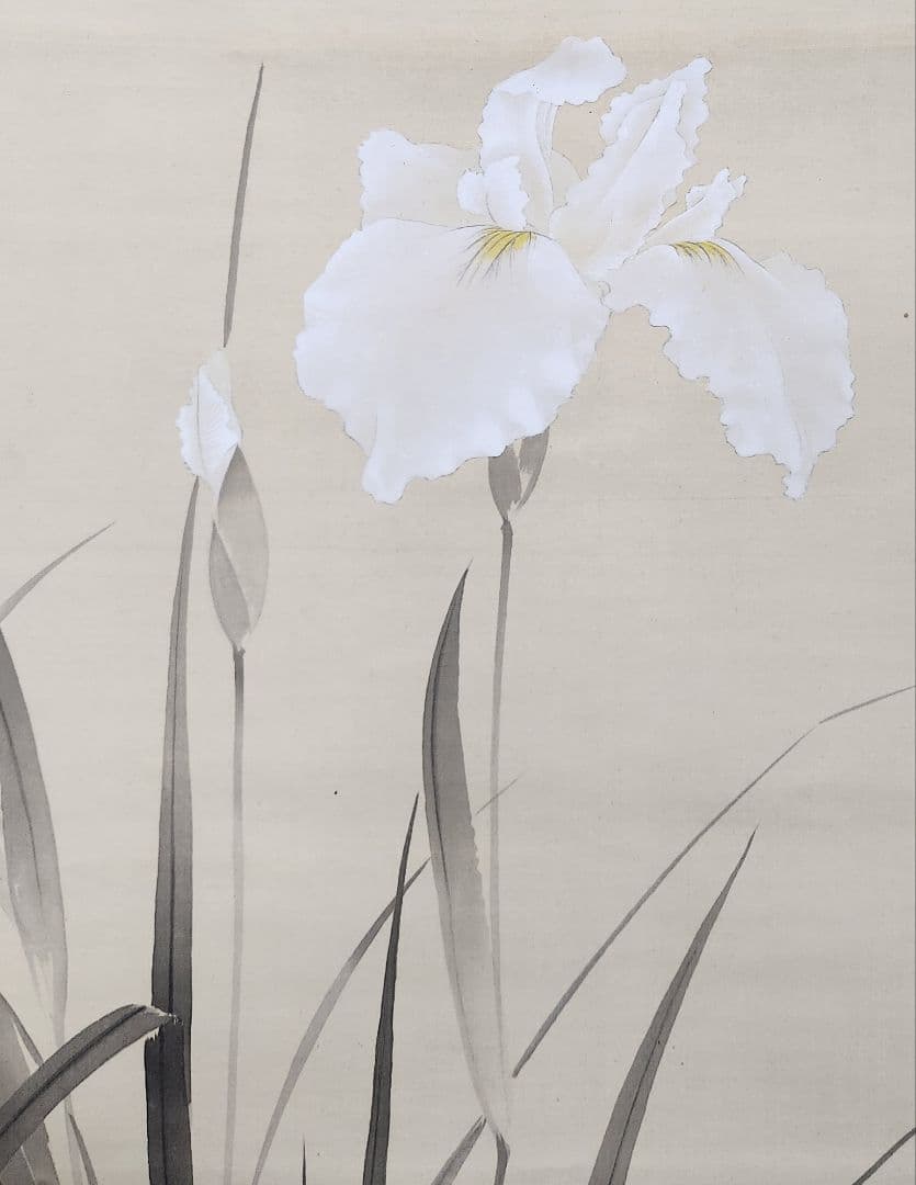 【花菖蒲にトンボ図】井上達雄 通世 2632 トンボ 掛け軸　肉筆