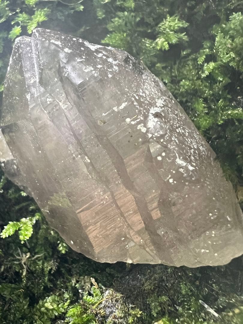 龍脈の精髄 ⭐︎九州産煙水晶ツイン 「大地と縁を結ぶ祓いの力」【保護猫活動支援】