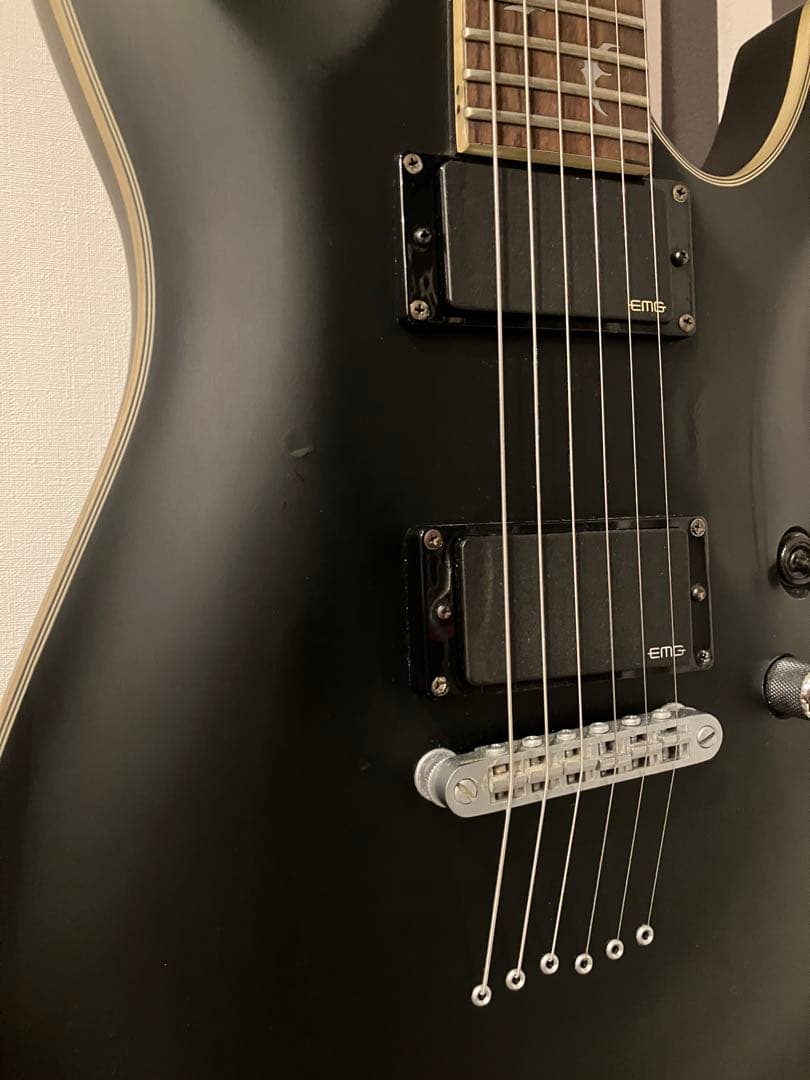 シェクター SCHECTER Damien Platinum-6