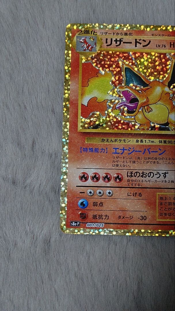 リザードン ガブリアス　25周年