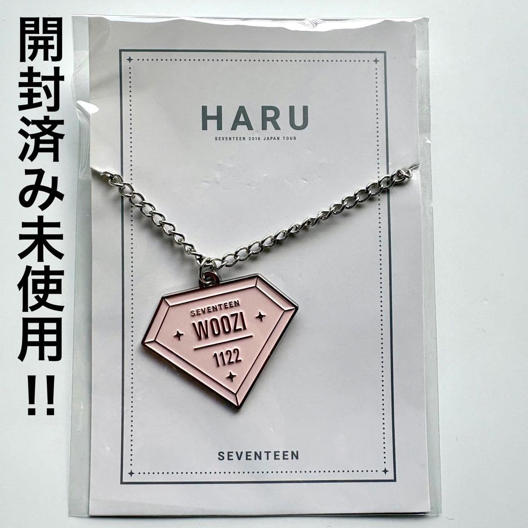 seventeen dicon be the sun 缶バッジ　ウォヌ　ジュン