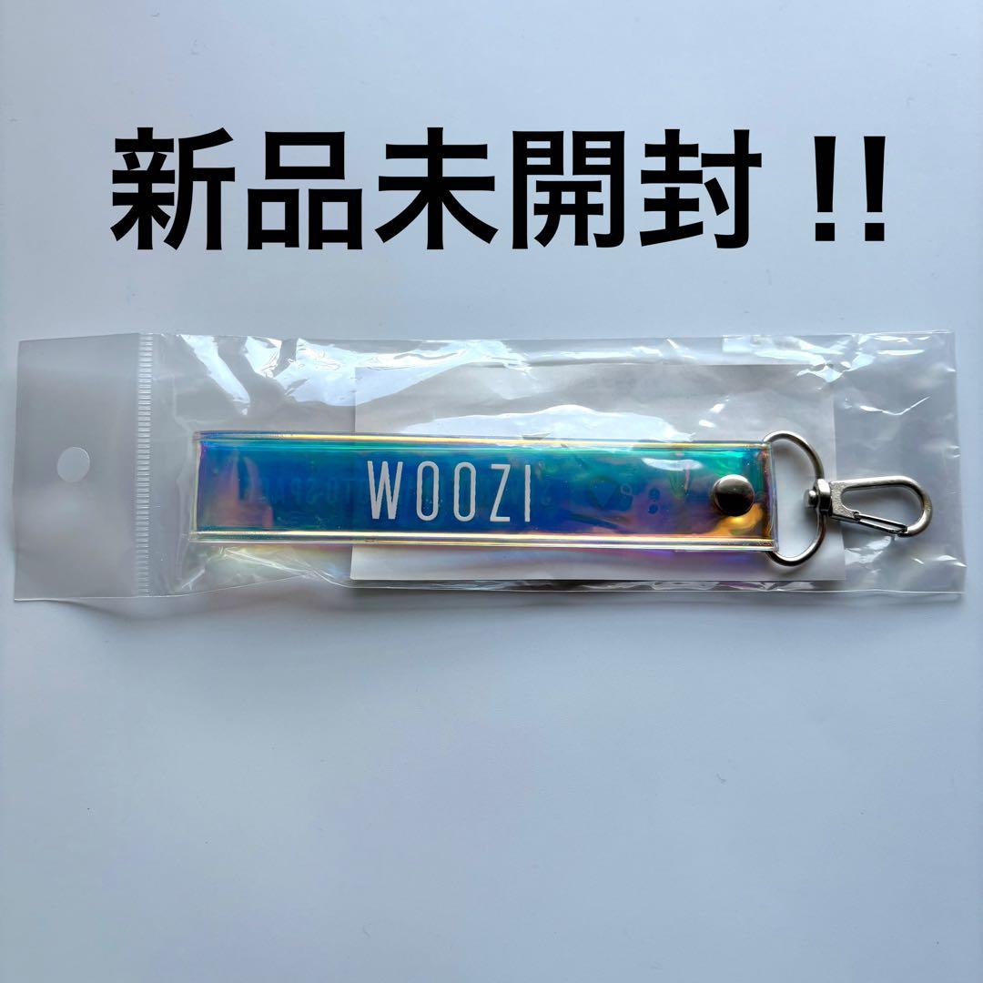 seventeen dicon be the sun 缶バッジ　ウォヌ　ジュン