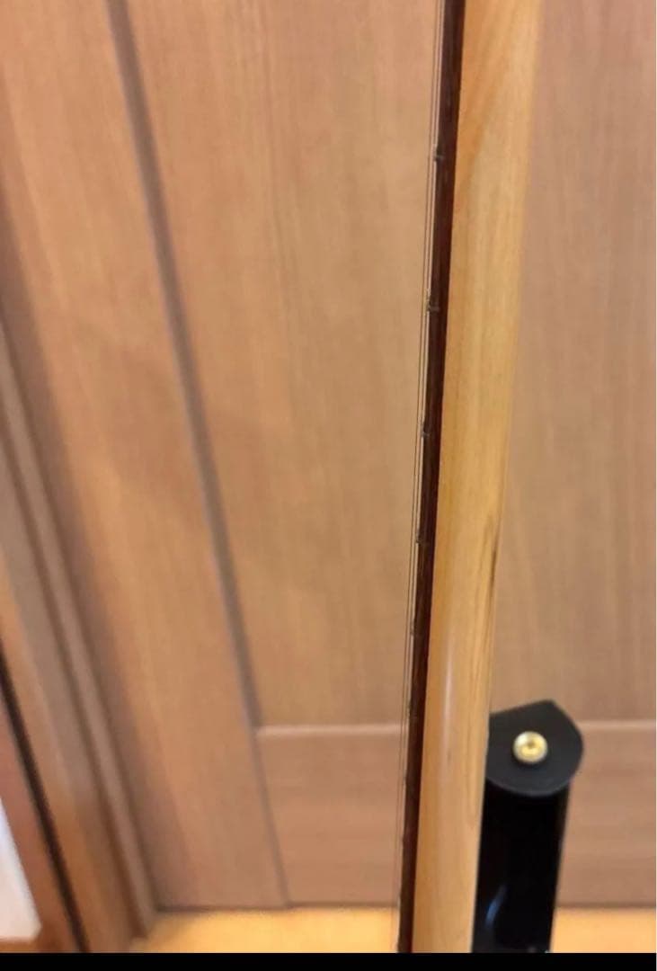 FERNANDES FGZ400 ゴールドパーツ仕様 トレモロアーム ケース付