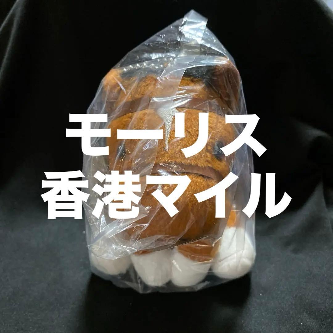 【競馬】モーリス（2015年香港マイル）ぬいぐるみ／アイドルホースSサイズ