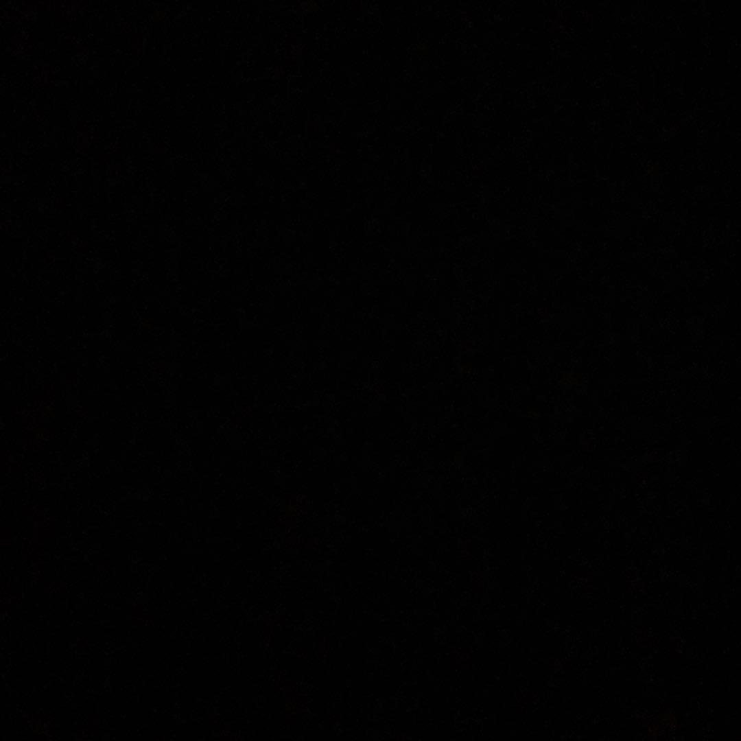 カナディス　Winning ボクシンググローブ 8oz 黒