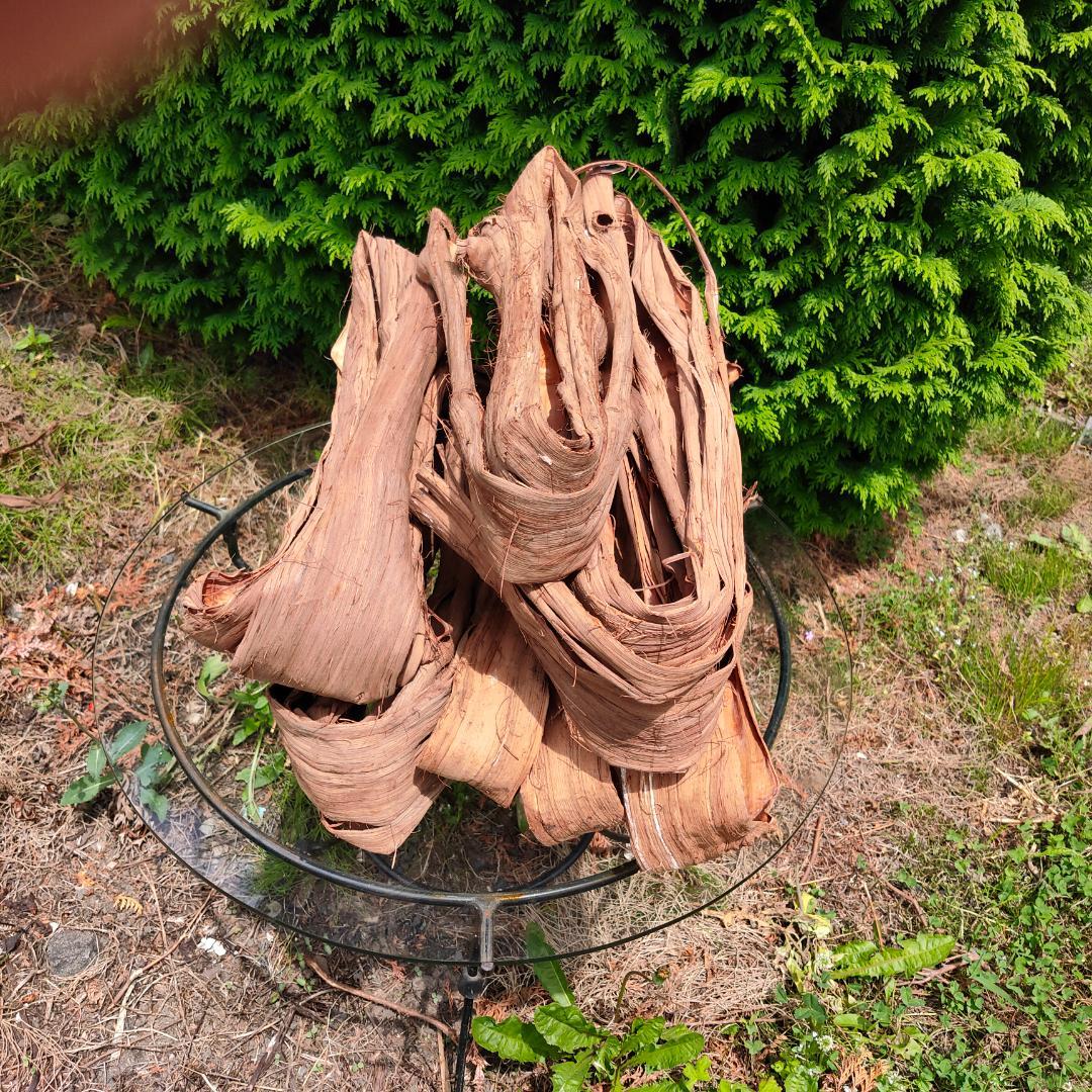 青森岩木山産 山葡萄 皮 樹皮 約2kg