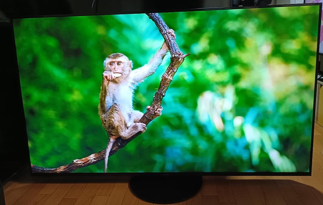 21年PanasonicVIERA 65V型 TH-65JX900 4K液晶TV