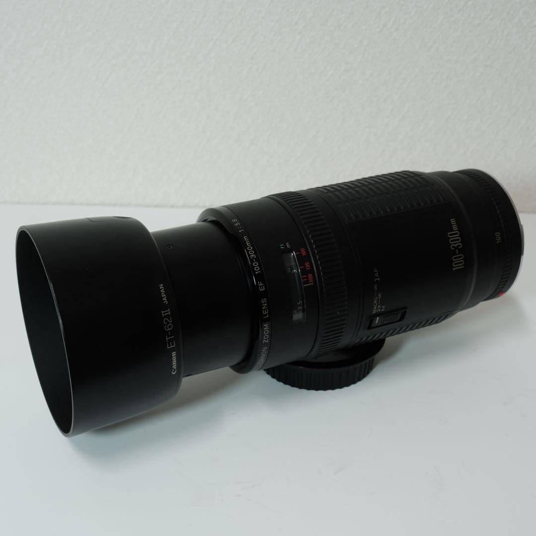 Canon EF 100-300mm F5.6 レンズ