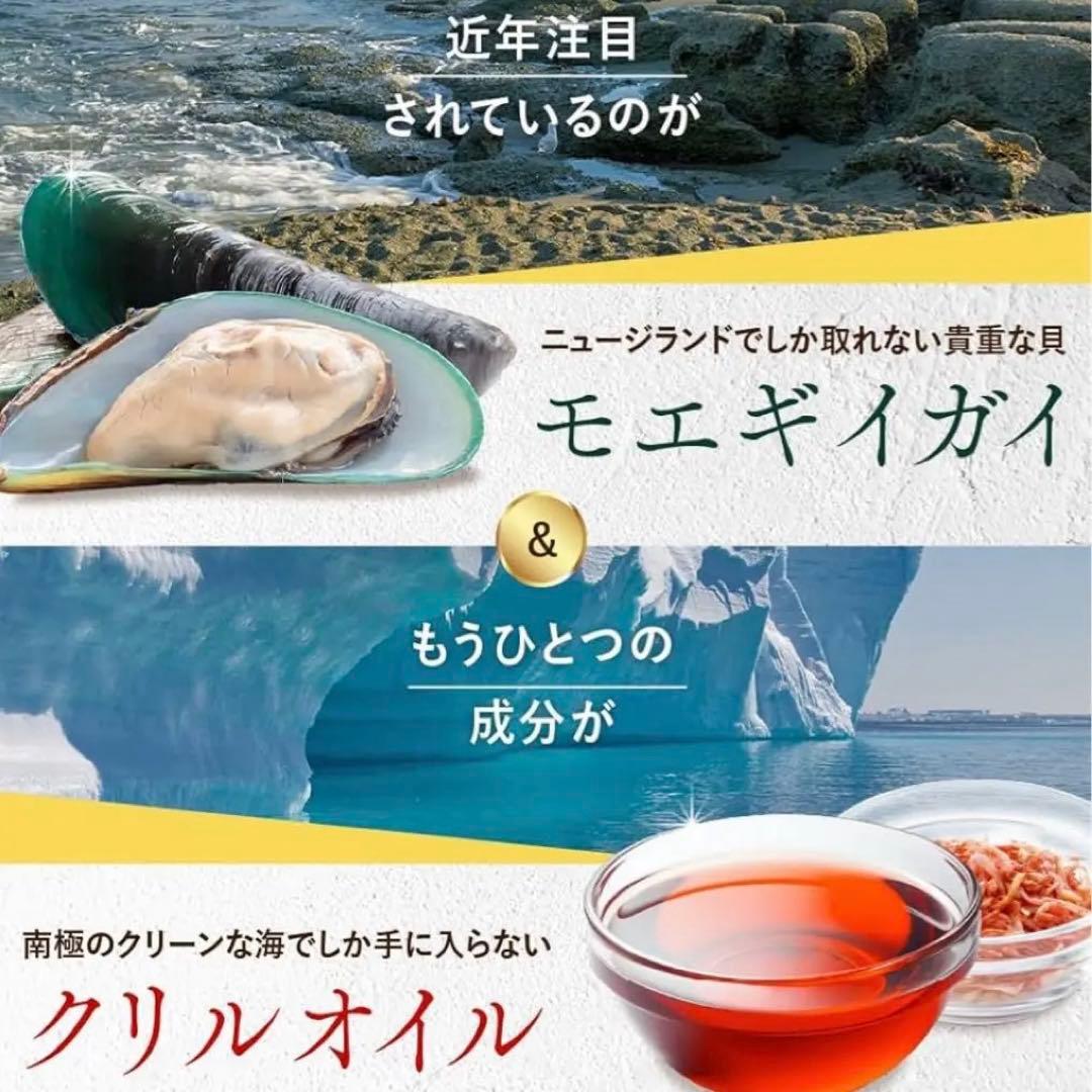 うちのカラダサポート PREMIUM 15粒 × 3袋