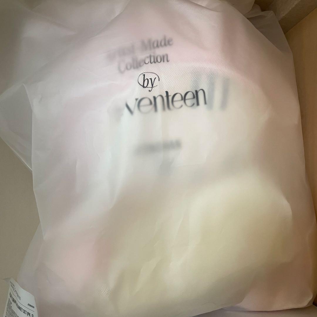 ジョンハン トラム アーティストメイド セット セブチ ハニ