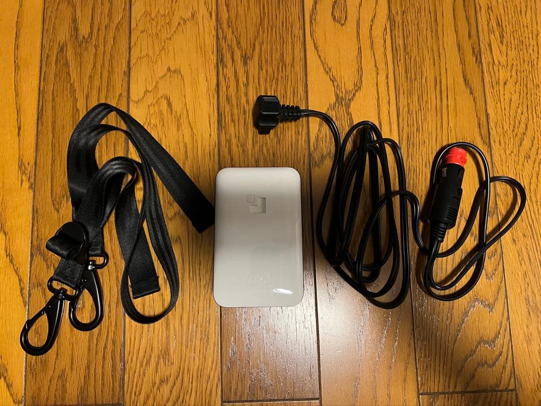 Litheli FrozenPack ポータブル冷蔵庫