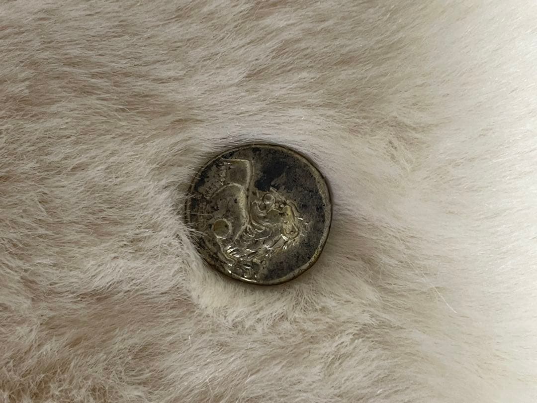 　トラキア　振り返るライオン