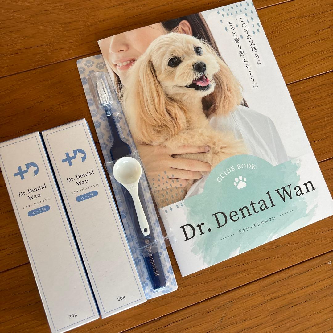 ドクターデンタルワン犬歯磨きジェル Dr. Dental Wan (ビーフ味)