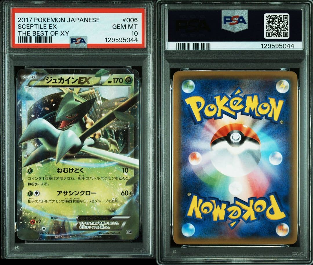 ジュカインex　ラグラージex バシャーモex　PSA10 連番　プロモ