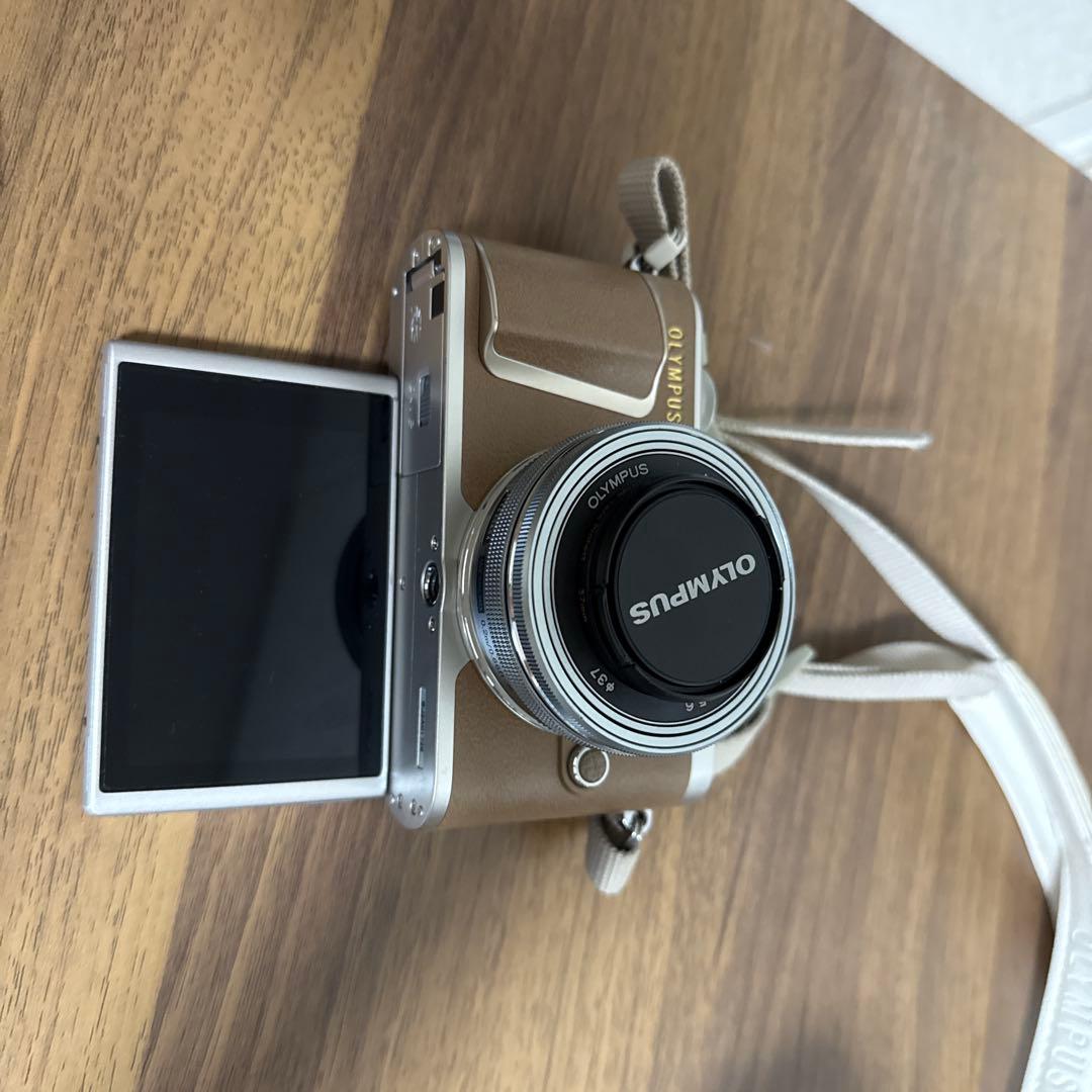 OLYMPUS PEN E-PL9 オリンパスミラーレスカメラ　望遠レンズ付き