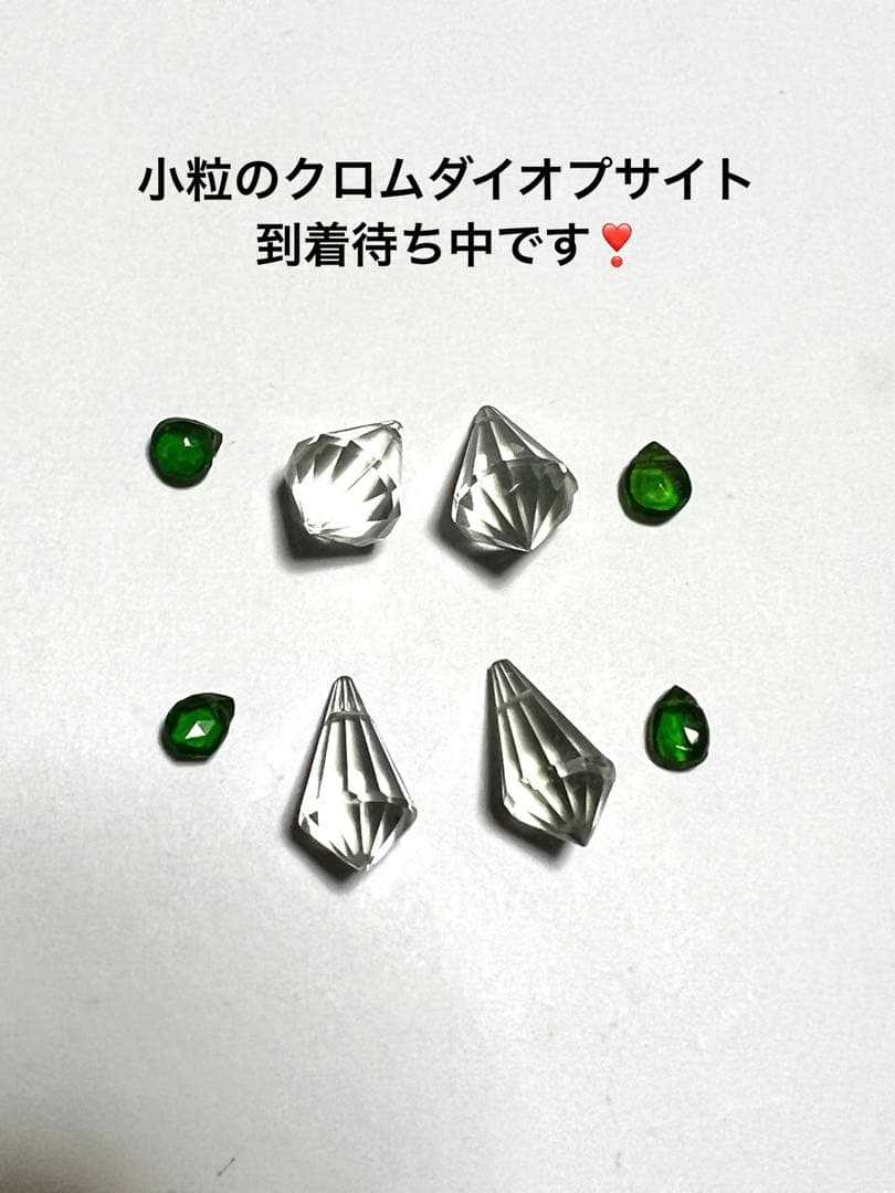 ポメころび❤️ サージカルフープイヤリング