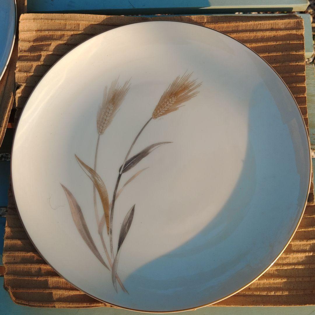 三郷チャイナ陶磁器皿(10枚)　食器