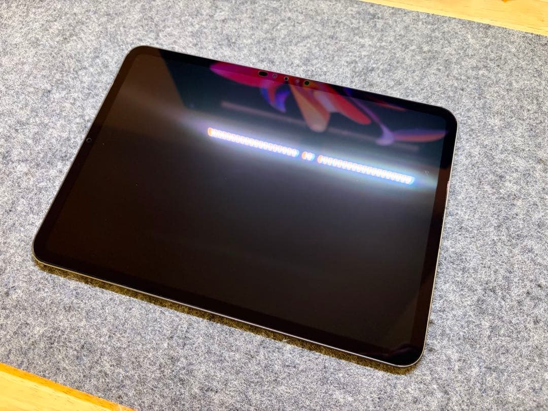 本日限定価格 保証残有 iPad Pro 11 M4 256GBセルラー