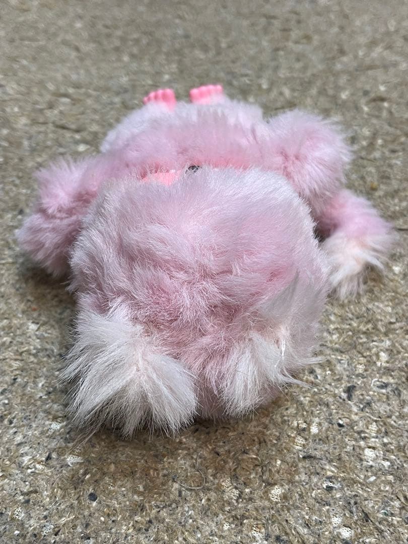 モンチッチ　レア　3体セット