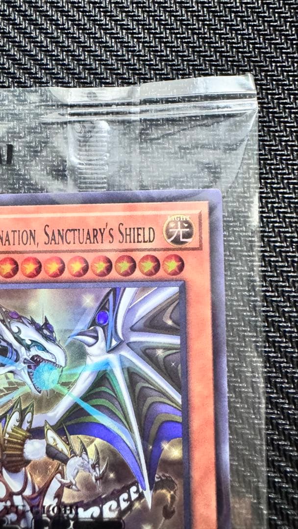 遊戯王　日本選手権予選プロモ