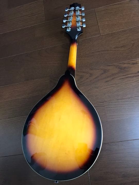 PLAYTECH フラットマンドリン