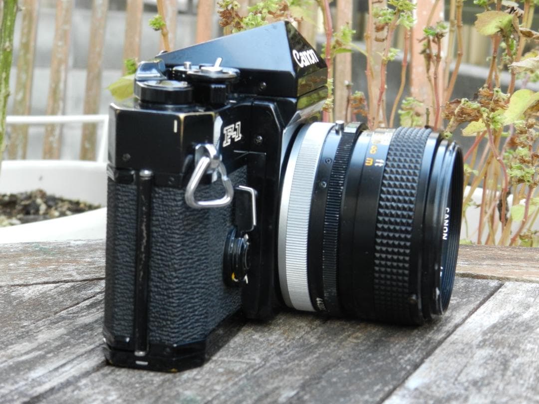 美品　Canon F-1+50mm 1.4 ssc S.S.C 即撮影可