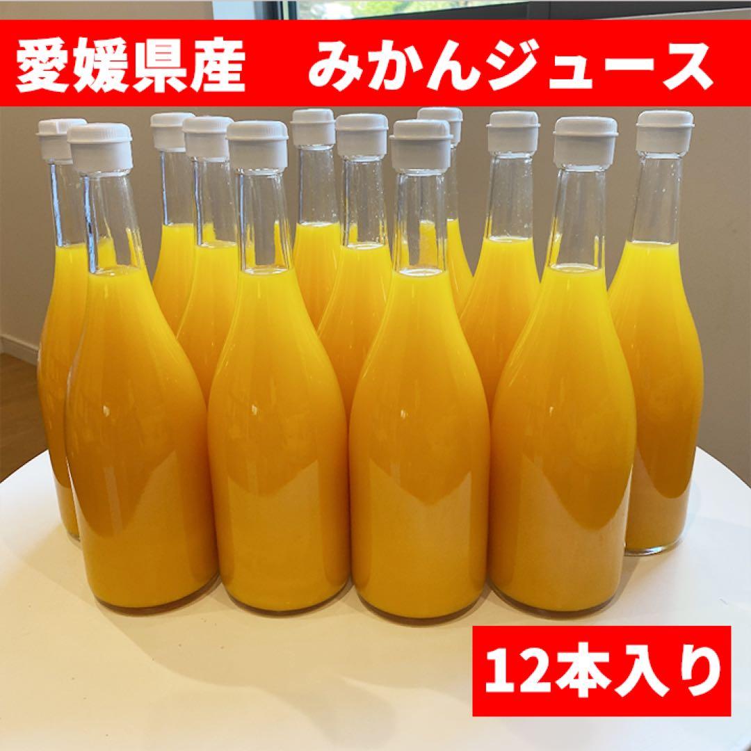 愛媛県産 無添加100%ストレートみかんジュース 12本入り