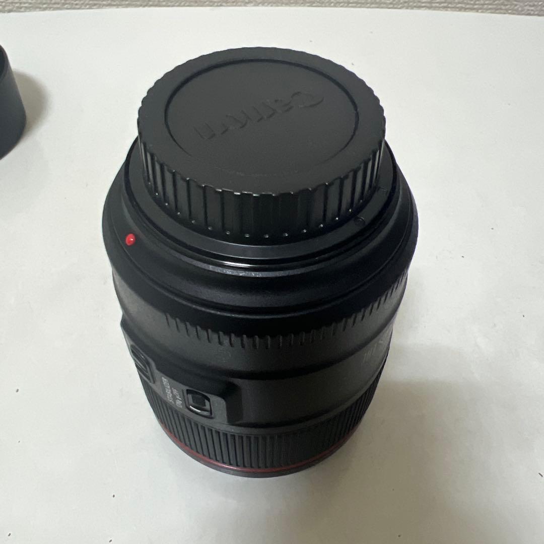 田中良 Canon (キヤノン) EF85mm F1.4L IS USM