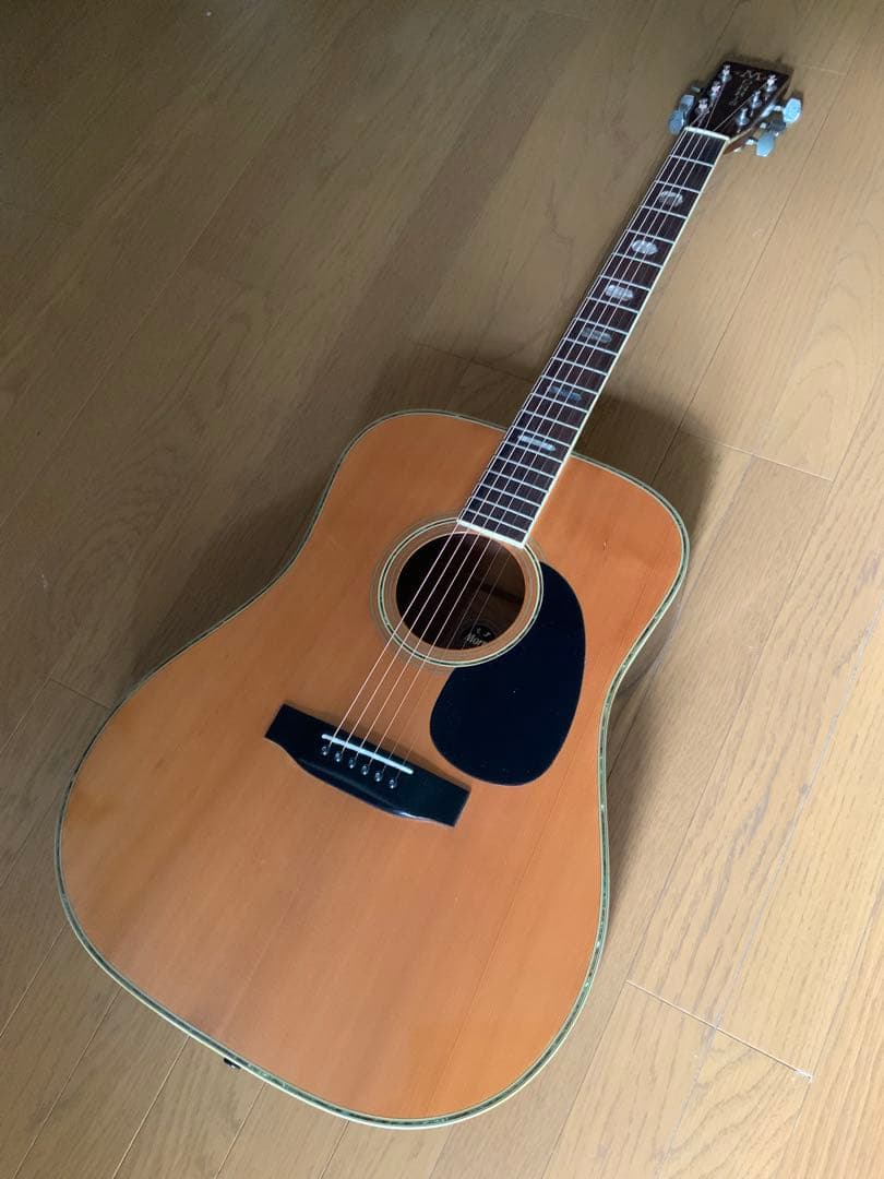 ギター MORRIS W-50
