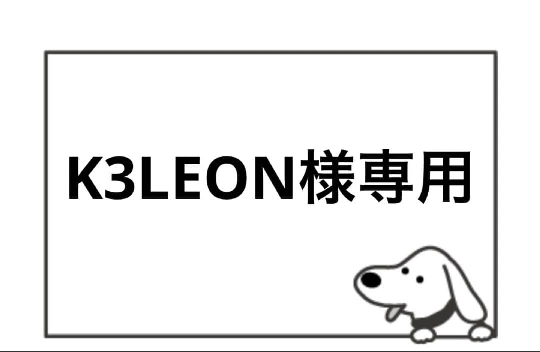 その他 K3LEON