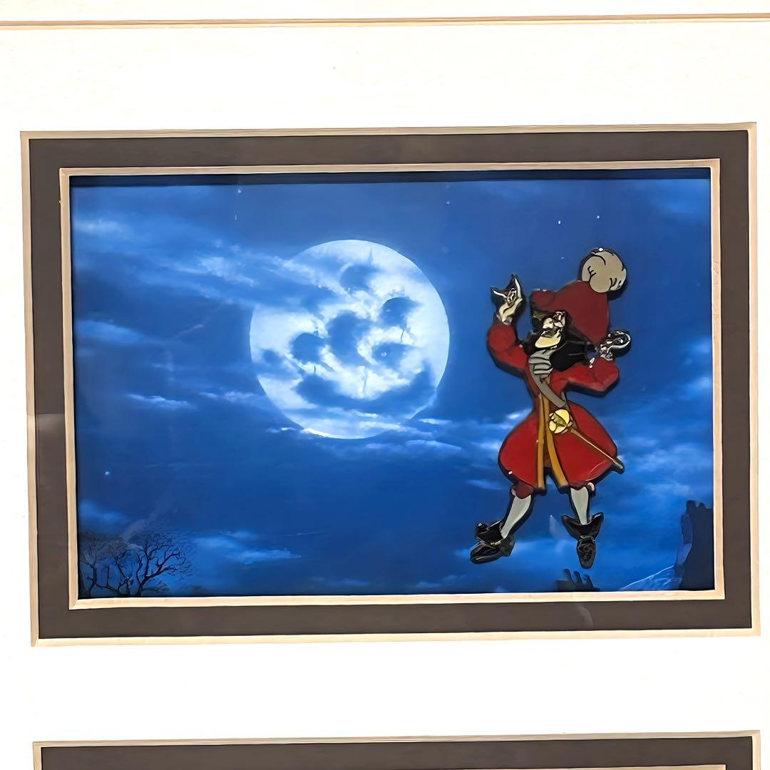 ディズニー　ヴィランズ　世界1000枚限定　ピンバッジ　額装ピンセット